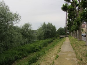 A backward glance at Chalons through the veil of trees