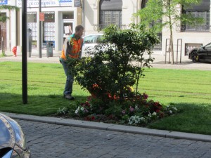 A small grass cuttubg machine