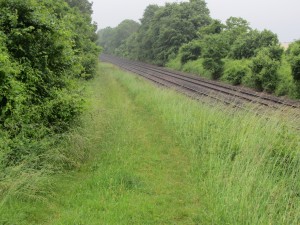 Today's path closely follows the railway