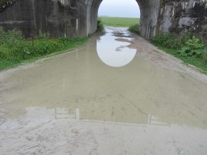 A puddle under the bridge