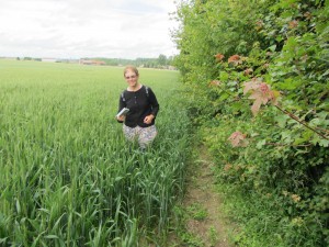 Path from Aguilcourt not well marked