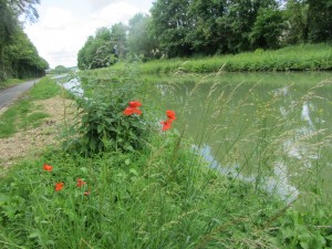 Look one way and the canal is rural