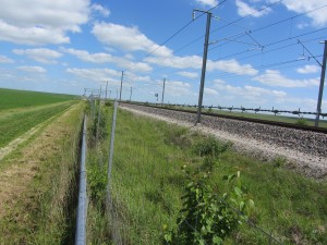 Footpath by the TGV