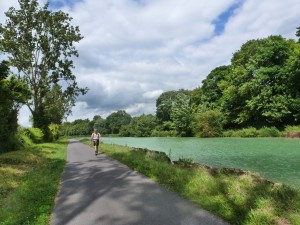 Green canal water