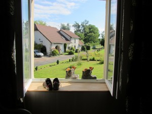 A room with the view of a shoe