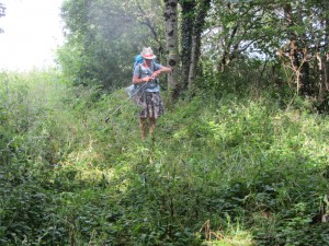 Primimg the poles for nettle defence