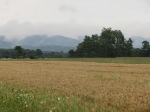 Distant Vosges