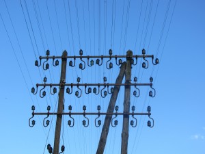 Nerdy picture of old telephone wires