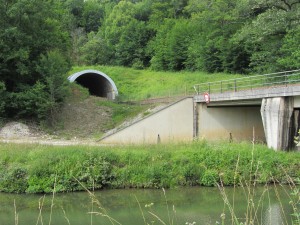 A tempting tunnel